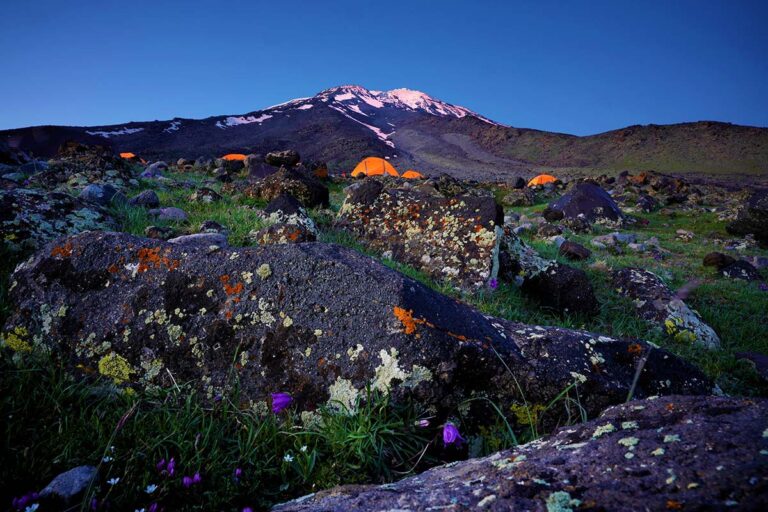 Flechten Ararat