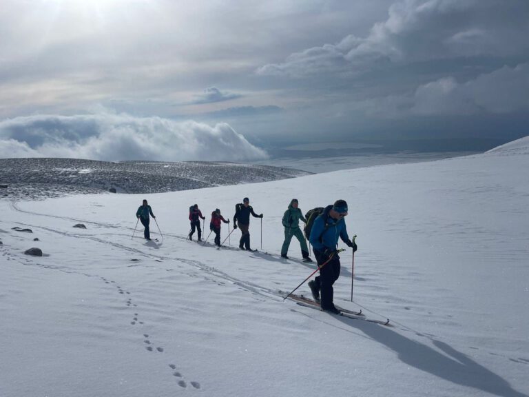 photo 2024 03 19 11 00 09