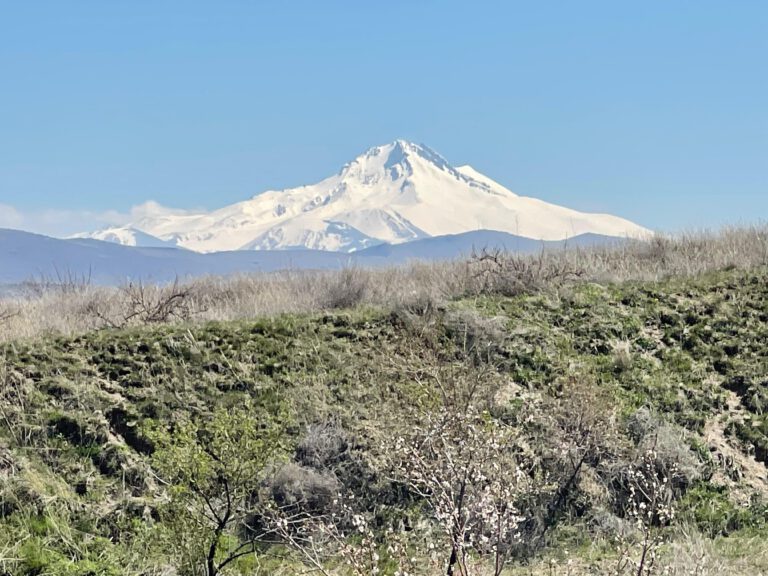 Erciyes