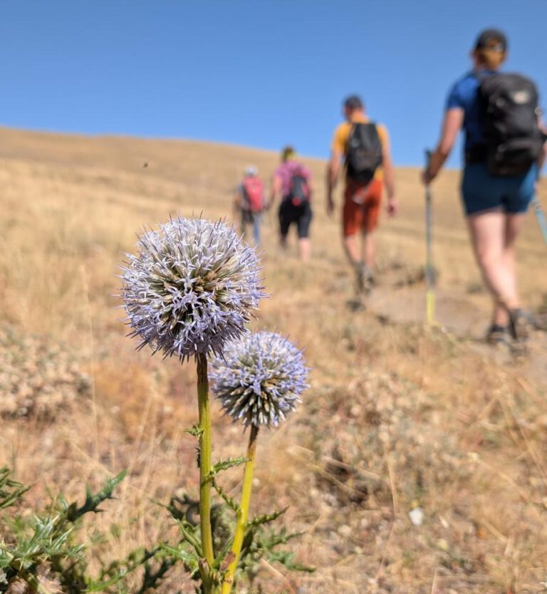 Ararat-Genießer-Tour